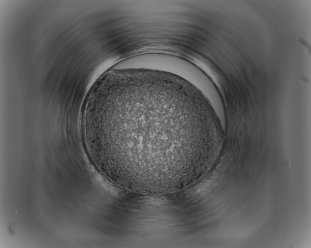 X0000091211050200708301424