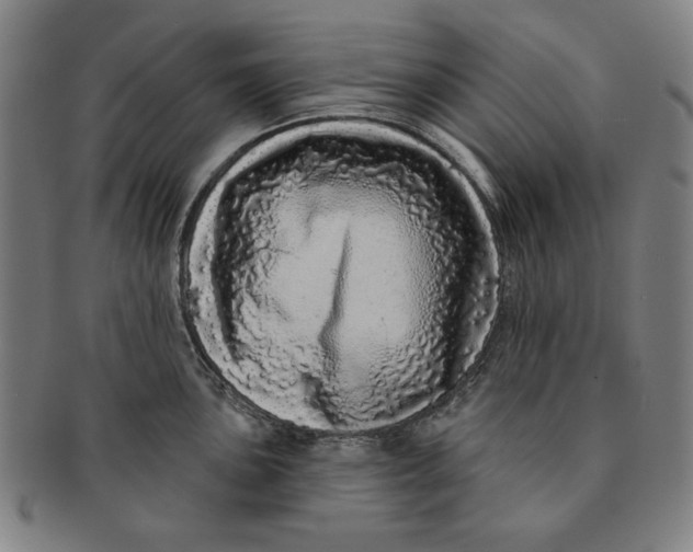 X0000091211051200708301424