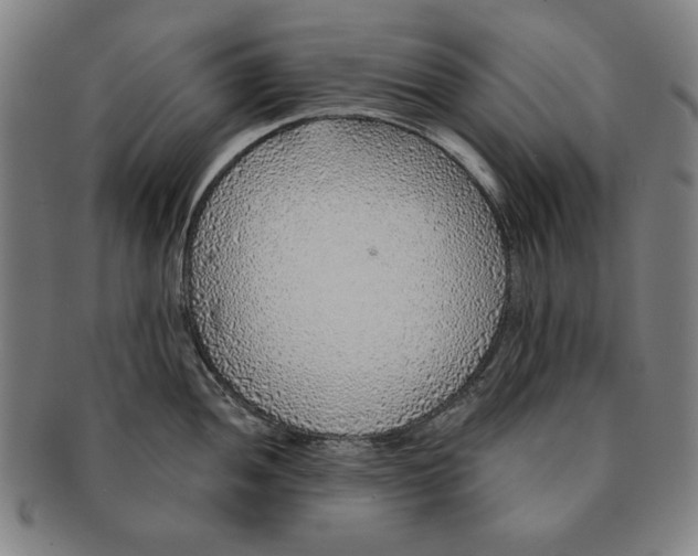 X0000091211052200708301424