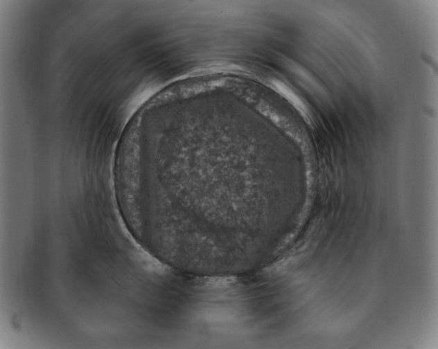 X0000091211055200708301424