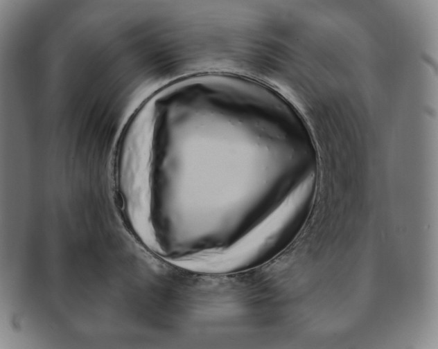 X0000091211056200708301424