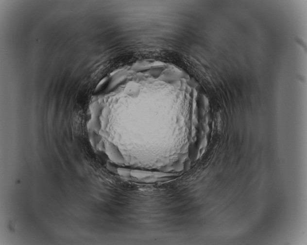 X0000091211059200708301423