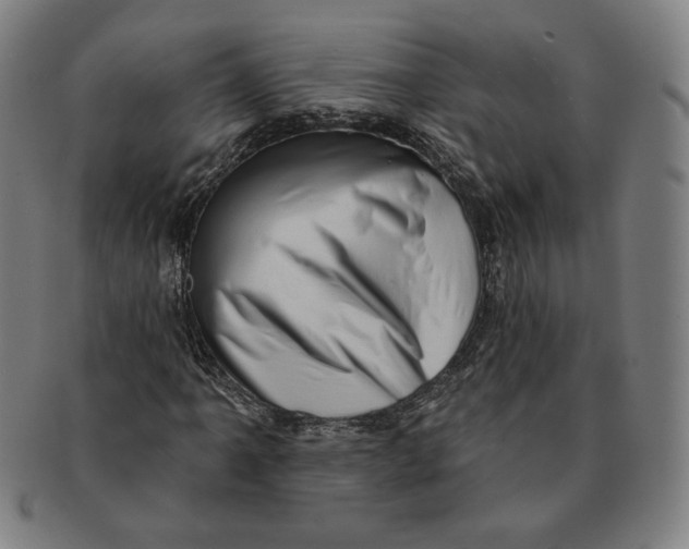 X0000091211061200708301423