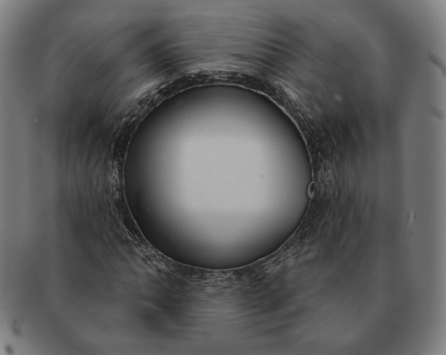 X0000091211062200708301423