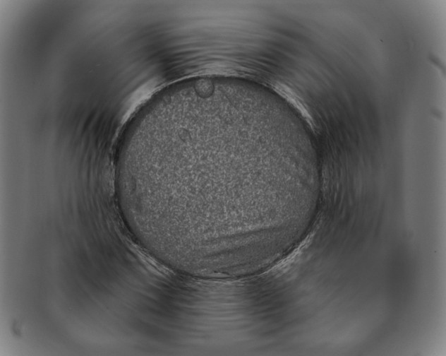 X0000091211067200708301423