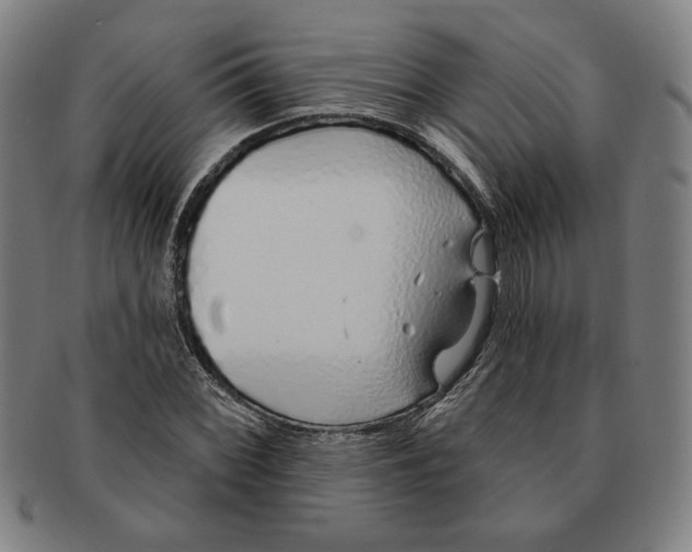 X0000091211068200708301423