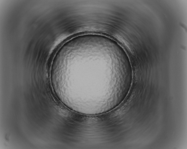 X0000091211070200708301423