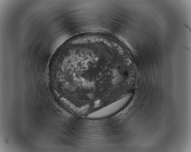 X0000091211071200708301423