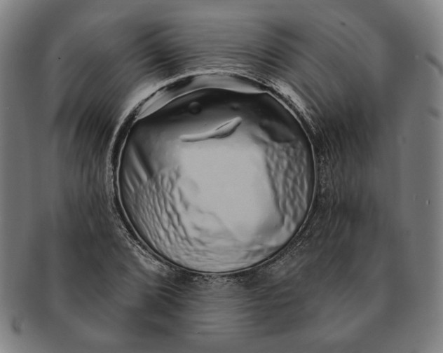 X0000091211072200708301423