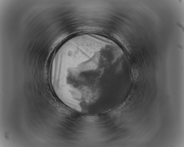 X0000091211074200708301423