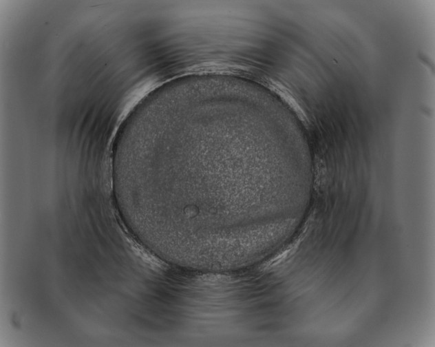 X0000091211075200708301423