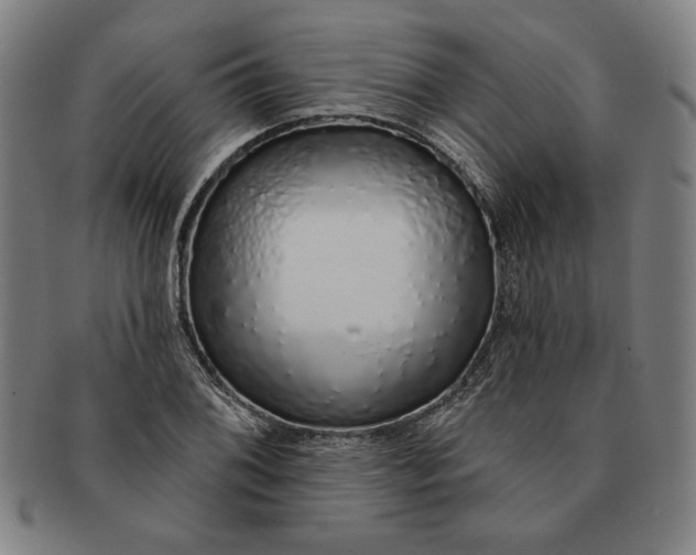 X0000091211076200708301423