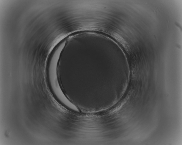 X0000091211077200708301423