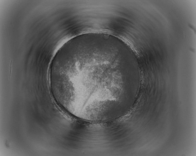 X0000091211078200708301423