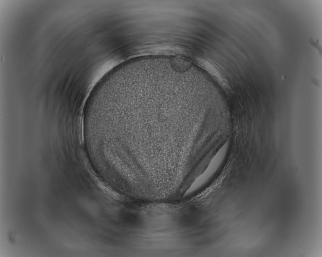 X0000091211079200708301423