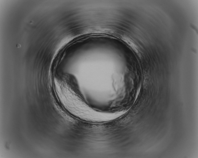 X0000091211080200708301423