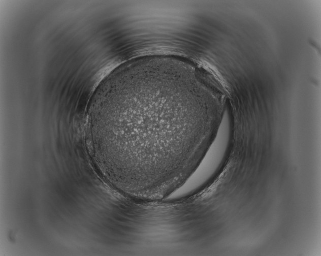 X0000091211081200708301423