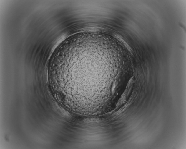 X0000091211083200708301423