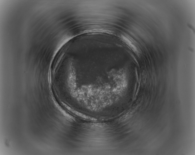 X0000091211084200708301423