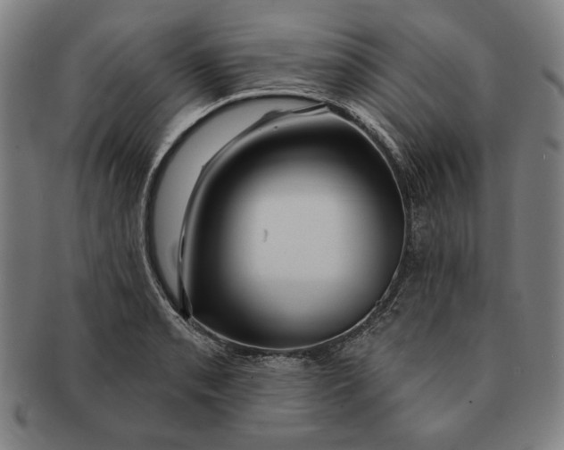 X0000091211085200708301423