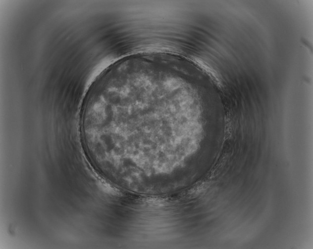 X0000091211086200708301423