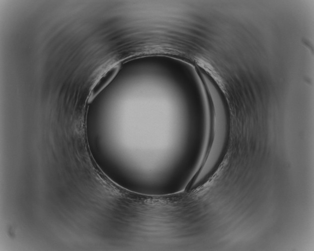 X0000091211089200708301423