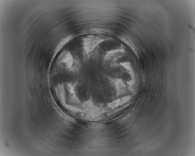 X0000091211090200708301423