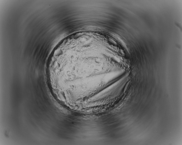 X0000091211091200708301423