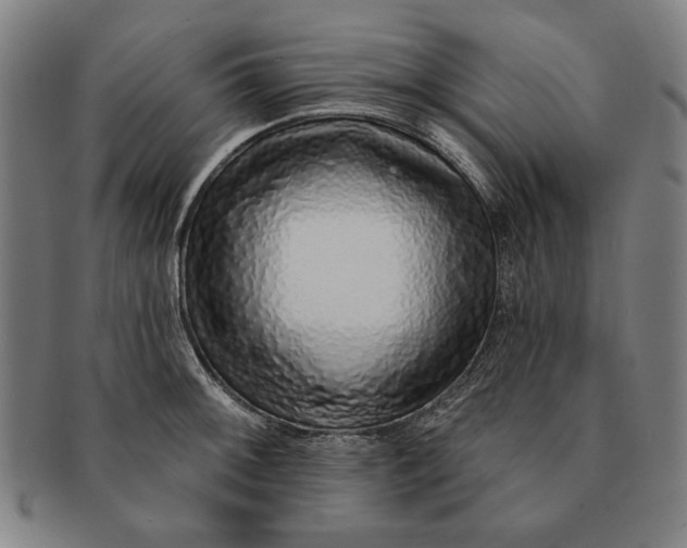 X0000091211092200708301423