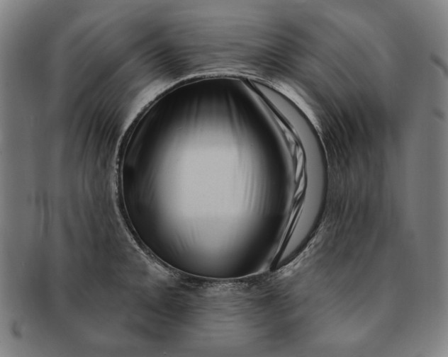 X0000091211093200708301422