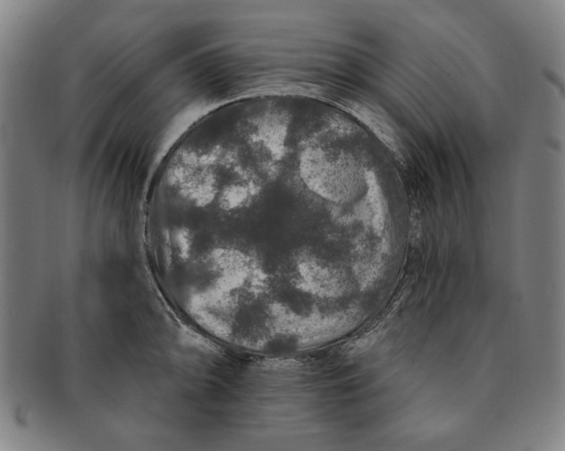 X0000091211094200708301422