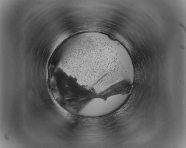 X0000091211095200708301422