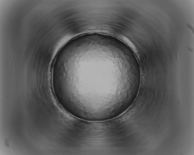 X0000091211096200708301422