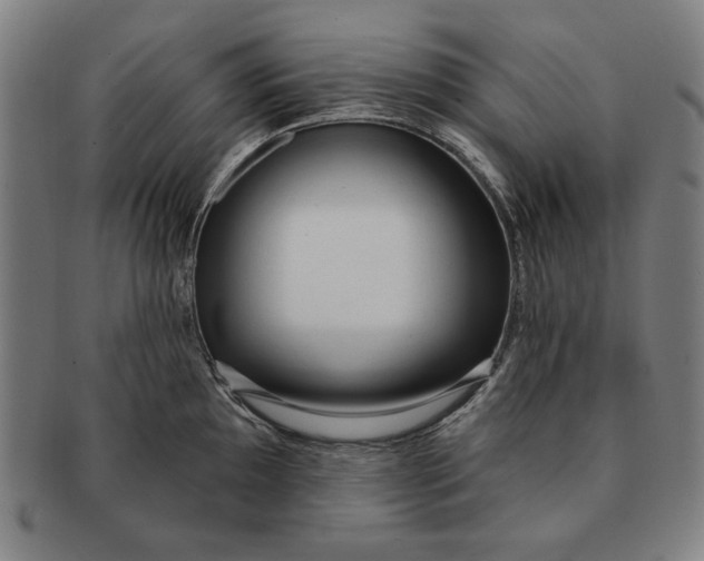 X0000091211097200708301422