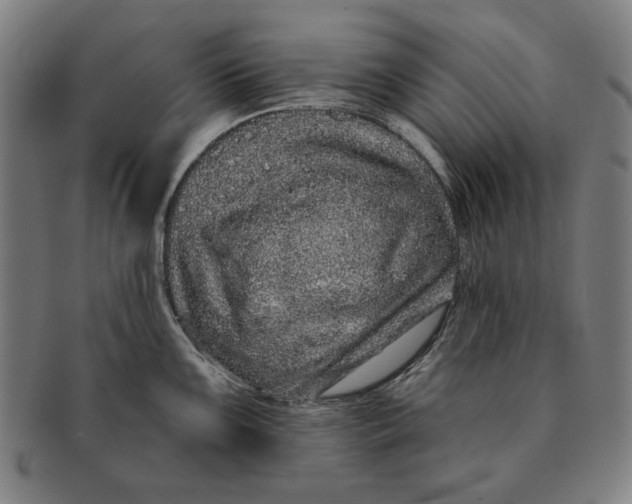 X0000091211099200708301422