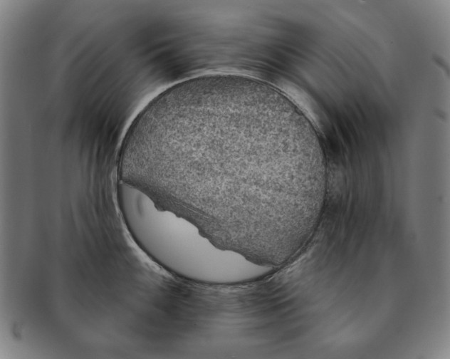 X0000091211100200708301422