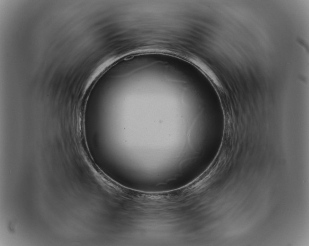 X0000091211101200708301422