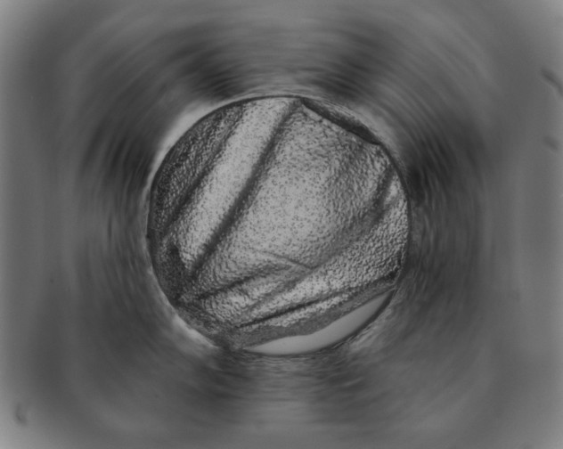 X0000091211102200708301422