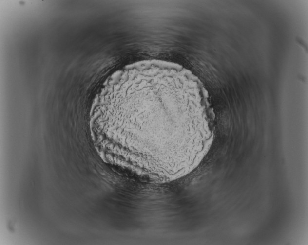 X0000091211105200708301422