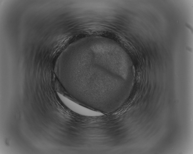 X0000091211108200708301422