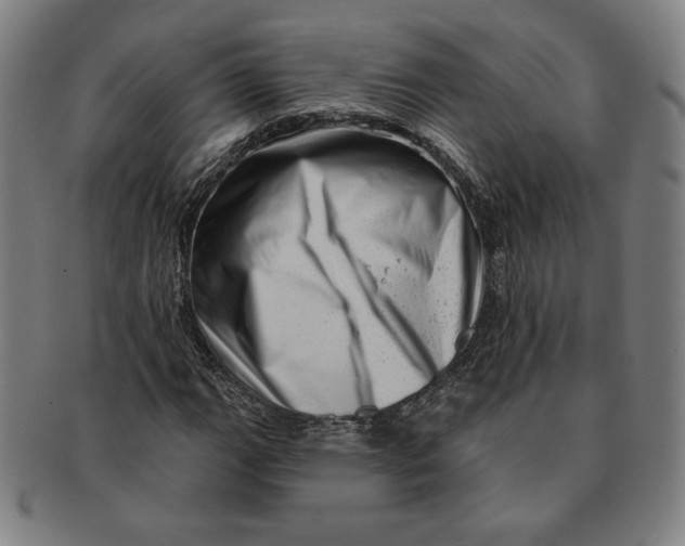 X0000091211111200708301422