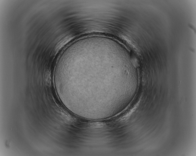 X0000091211113200708301422