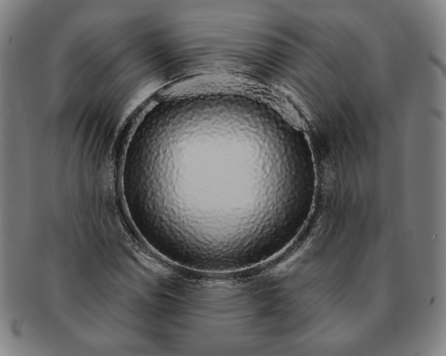 X0000091211114200708301422