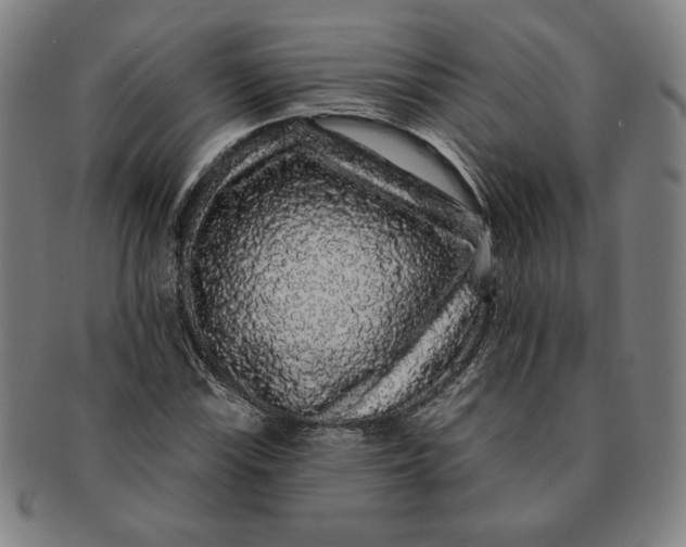 X0000091211115200708301422