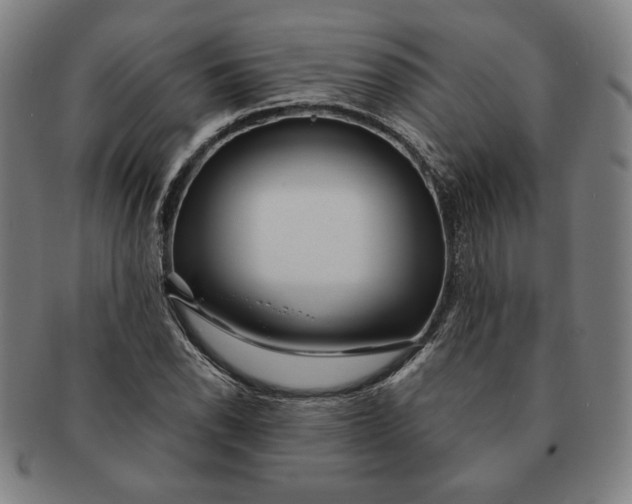 X0000091211118200708301422