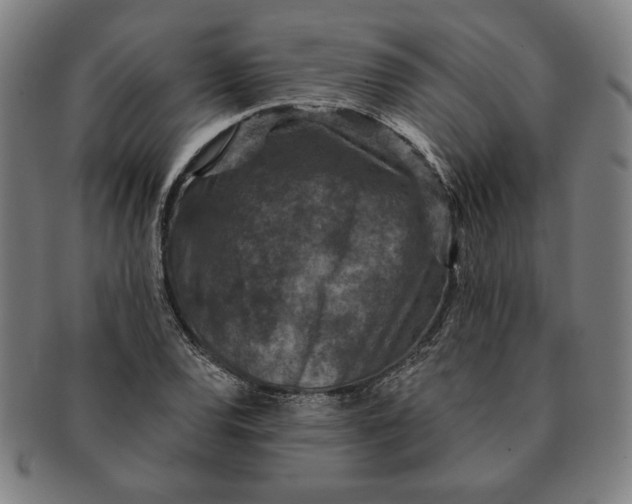 X0000091211120200708301422