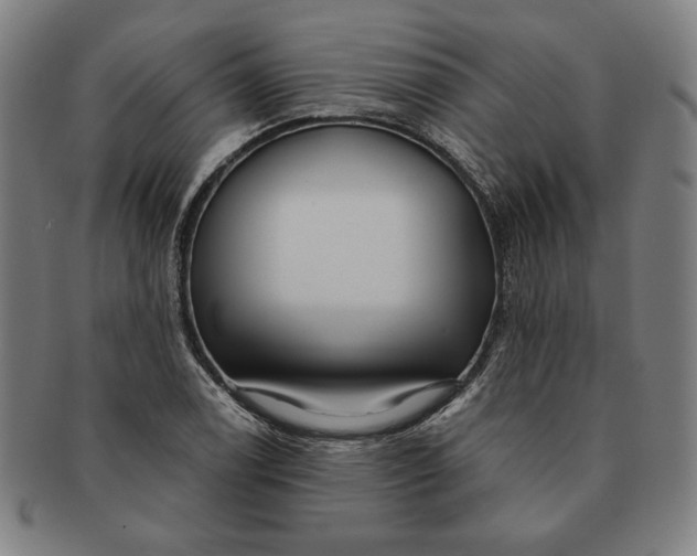 X0000091211122200708301422