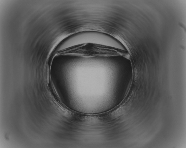 X0000091211123200708301422