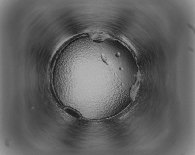 X0000091211124200708301422