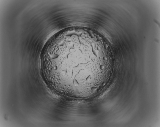 X0000091211125200708301422